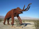 PICTURES/Borrega Springs Sculptures - Elephants, Gomphothe & Mammoths/t_IMG_8897.JPG
